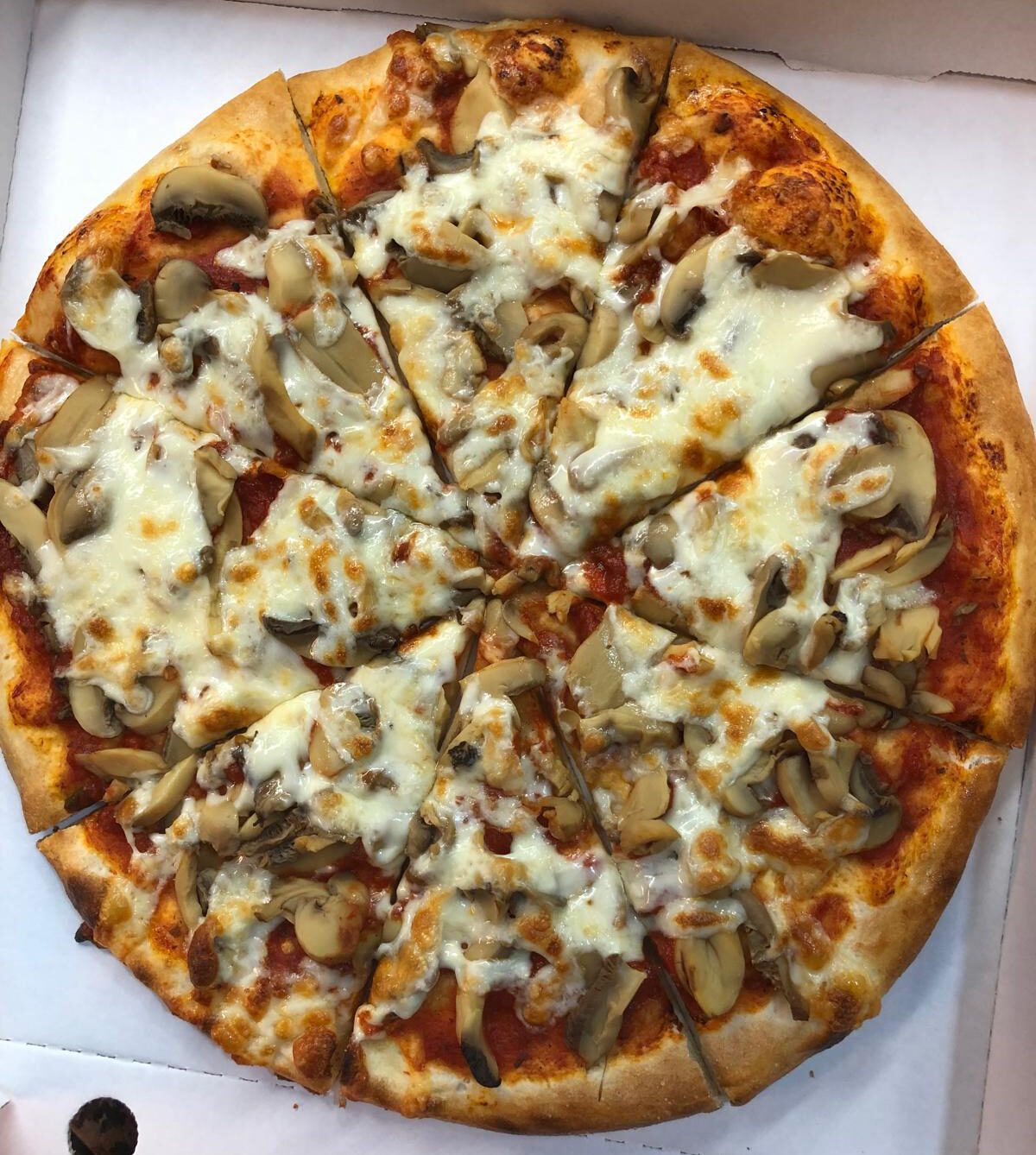 Pizza Champignons